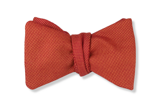 Winter's Orange Butterfly Bow Tie